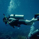 Scuba diving in Grand Caymen