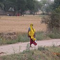 a woman carrying milk from a local Dairy in a village in Rajasthan, India